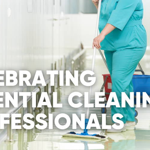 The Importance of Cleaning Professionals