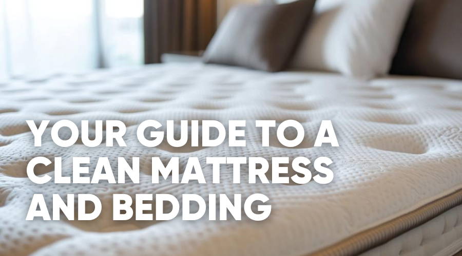 The Ultimate Guide to Cleaning Your Bed and Mattress