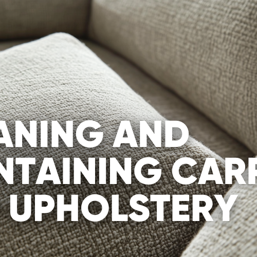 Cleaning and maintaining carpet and upholstery.